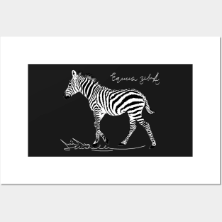 Bespoke Zebra on Black Posters and Art